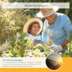 iben-product-275-image-1.png