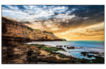 lidyas-product-52-image-1.png
