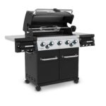 Regal590.jpg