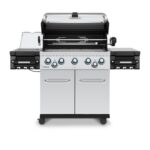 RegalS590PROIR_26d714ef-6bb7-48f6-bd8c-d8fb368f2ec5.jpg